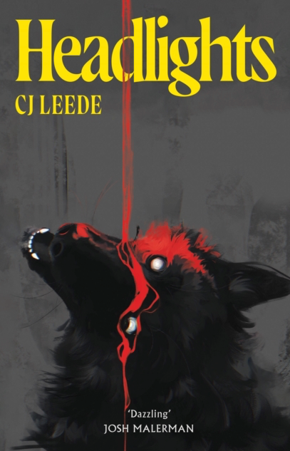 Headlights - CJ Leede (Hardback)