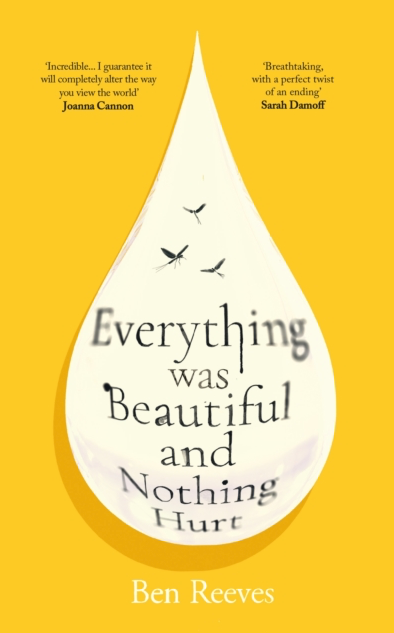 Everything was Beautiful and Nothing Hurt - Ben Reeves (Hardback)
